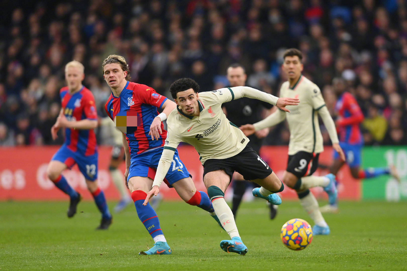 年赢得的第 年赢得的第